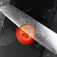 Gyuto 20 cm